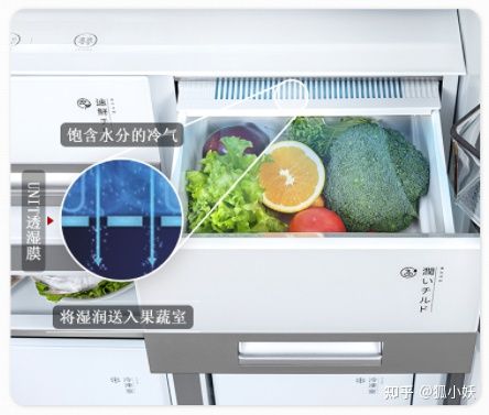 卡萨帝和西门子冰箱型号推荐,冰箱推荐2023西门子高端