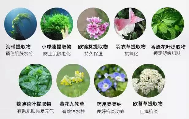 朋友买雅诗兰黛,闺蜜600元左右的礼物包包