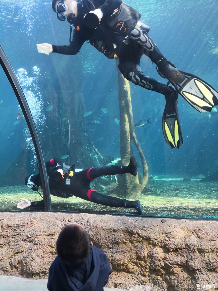 珠海长隆海洋王国亲子游攻略,珠海长隆海洋王国攻略亲子游