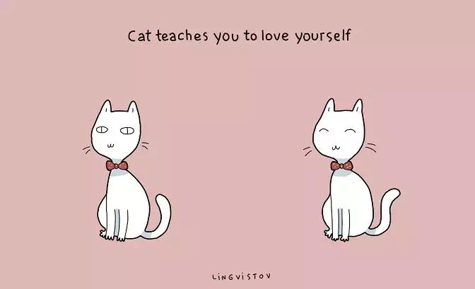 家里养猫的好处也太多了吧,养猫一公一母有什么好处