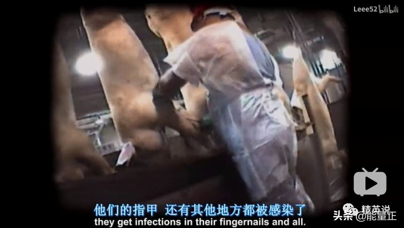 因为一个汉堡，她亲眼看着儿子死去！美国工薪阶层吃的食物有多脏