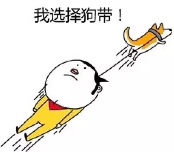 看完笑岔气，今年夏天国产最佳