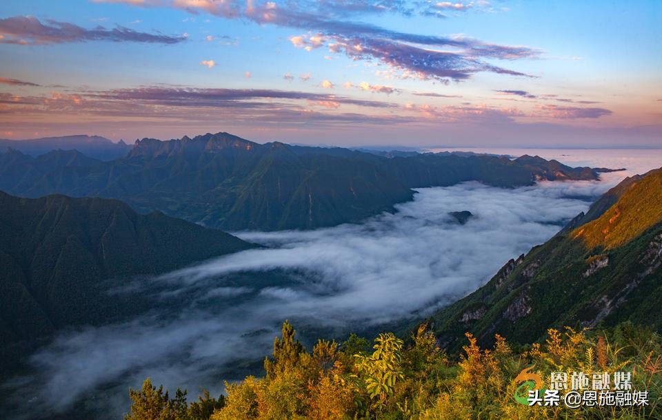 李伦英：用镜头记录家乡的美丽