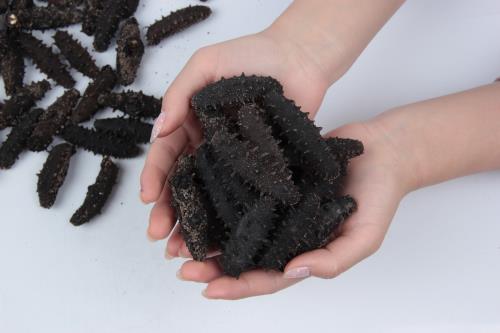 同样的海参泡发不一样大,淡干海参为什么价格相差这么大