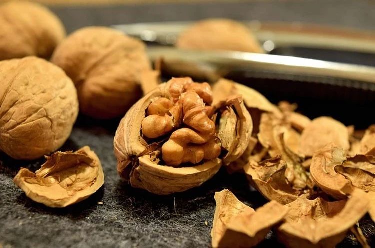 吃了核桃霉菌会怎样,吃了有毒的核桃怎么办