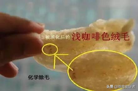 怎么分辨真燕窝和假燕窝,如何分辨真假燕窝的方法