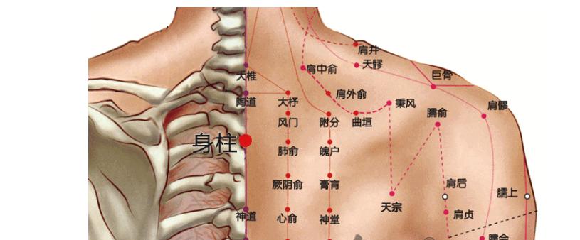 寒虚有湿艾灸穴位,补充阳气的艾灸穴位视频
