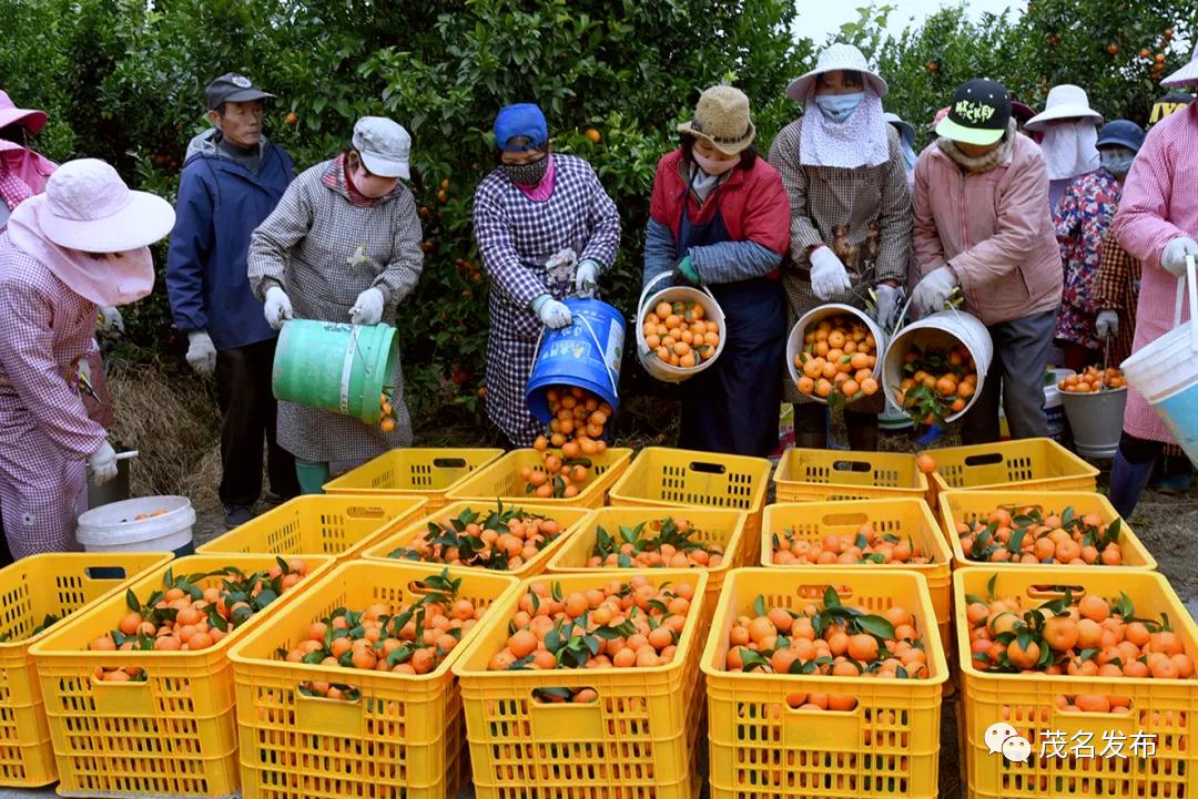 夏天的甜蜜延续到秋天,夏天的甜蜜甜在嘴里恋在心里