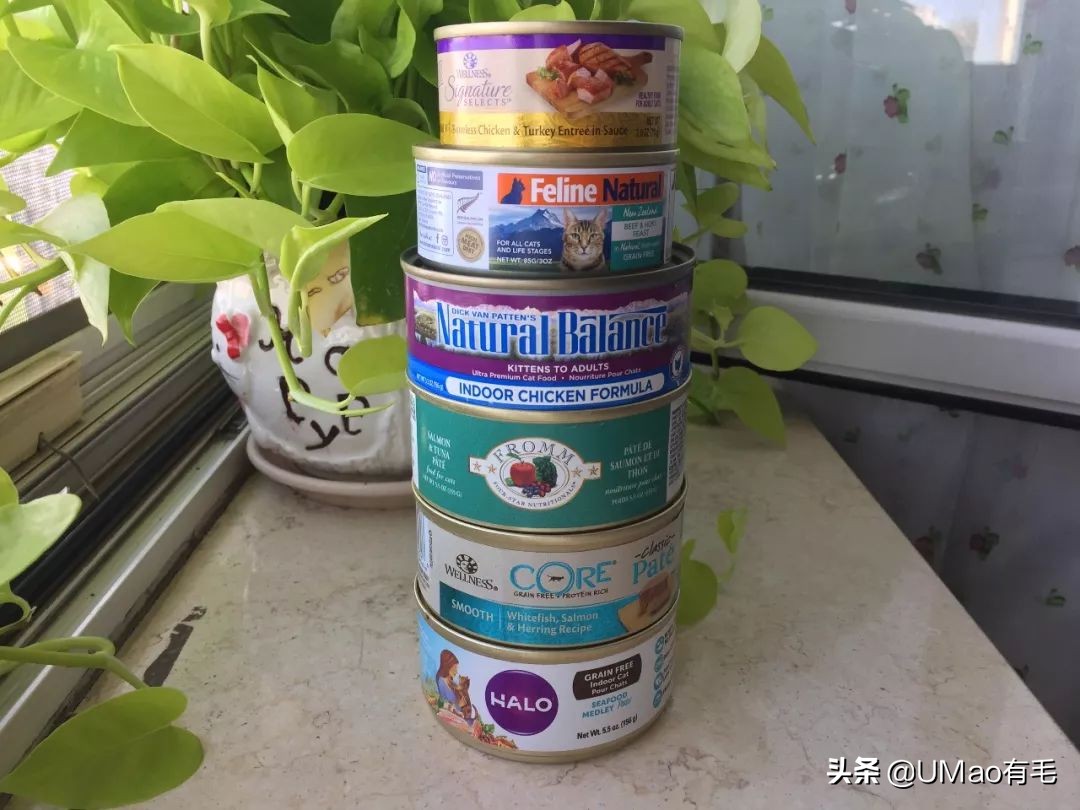 零食罐和主食罐吃哪个,主食罐零食罐