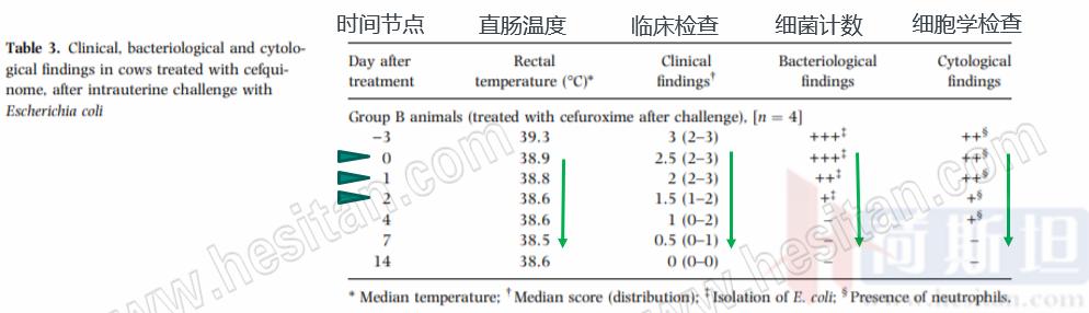 产后急性子宫内膜炎,产后急性宫颈炎症状