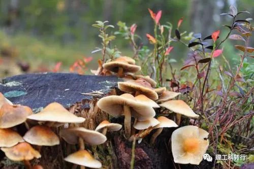 电气测控专业就业前景,电气相关专业就业前景