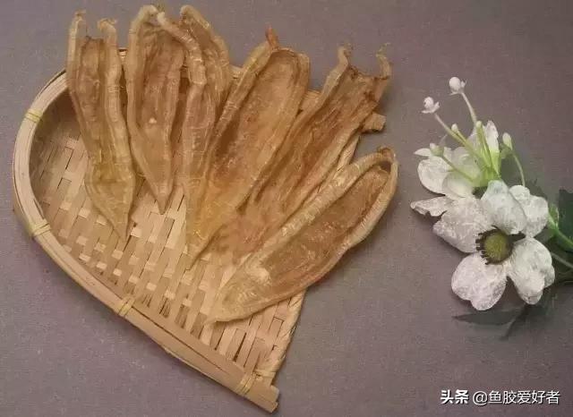 花胶的说法,花胶疑问