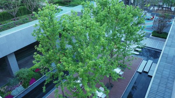 永威上和院装修案例,永威上和郡大平层装修