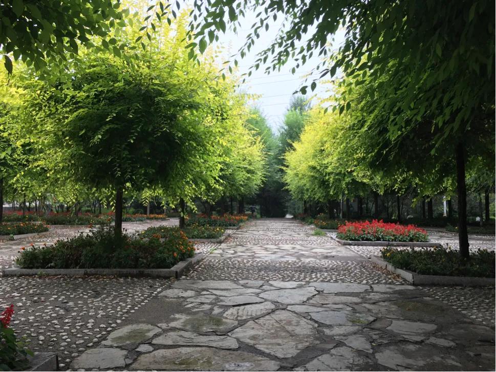 思念家乡青藏高原,思念家乡的嫩江