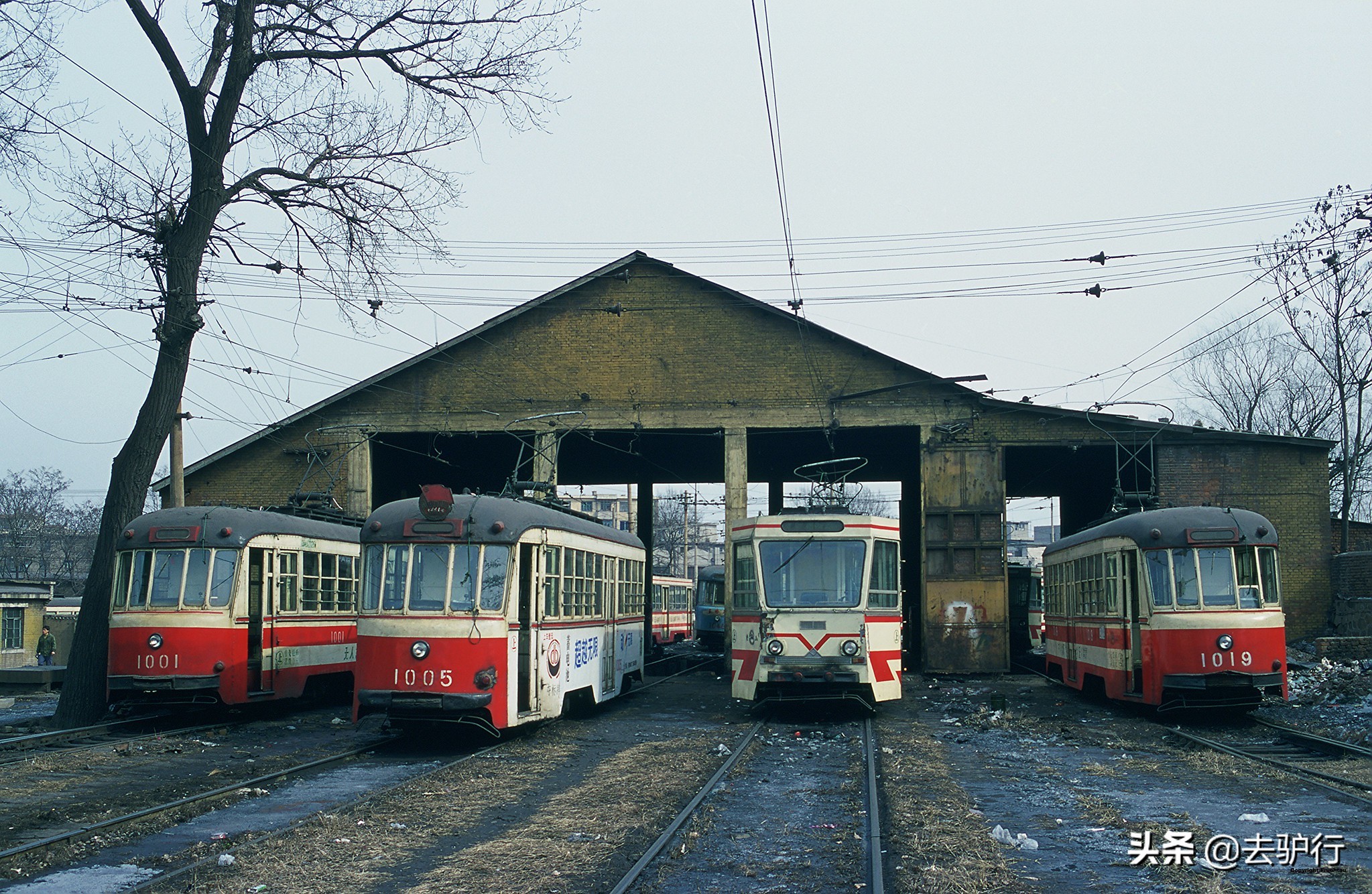 辽宁最有发展潜力的3个市,辽宁除了沈大谁最有潜力