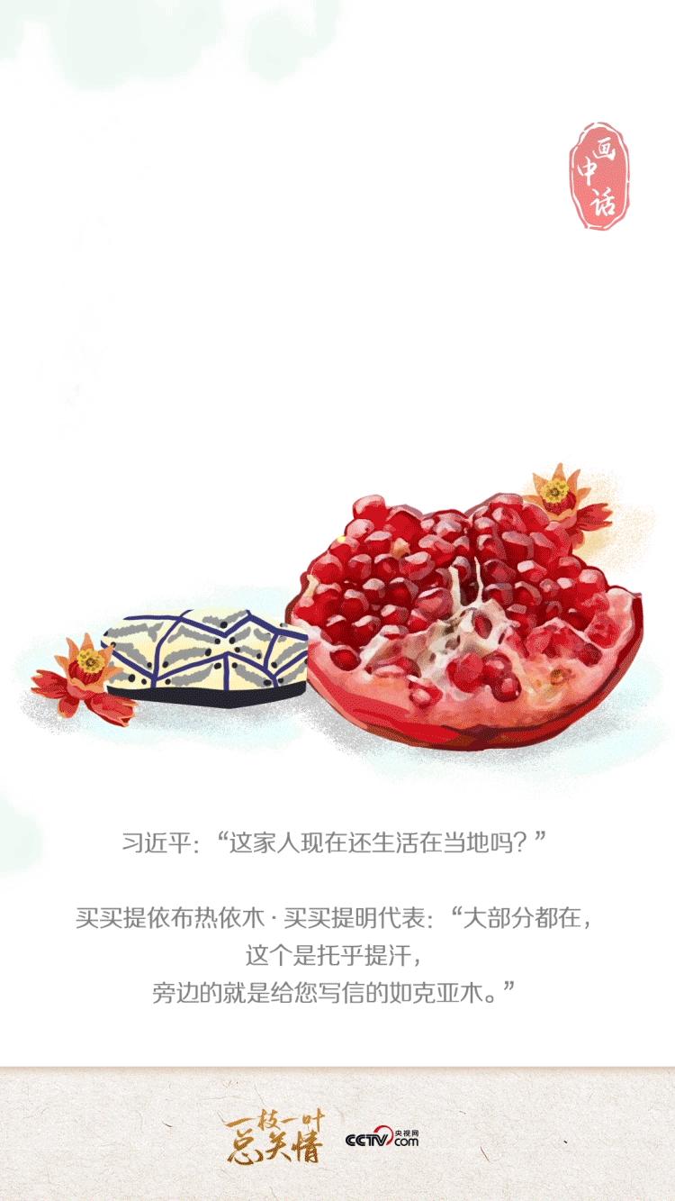 联播+丨一枝一叶总关情·画中话