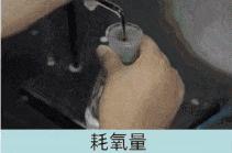 羽绒服评测次品绒,羽绒服测评中款平价