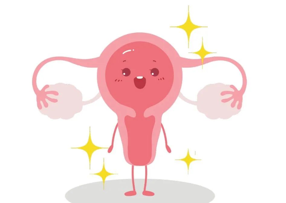 鸡西爱玛月子中心,鸡西爱玛家月子中心直播