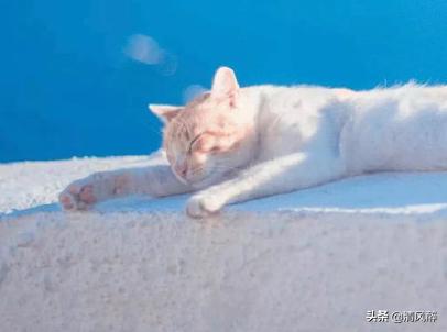 支付宝个性签名简短又内涵,支付宝个性签名怎么查看之前记录