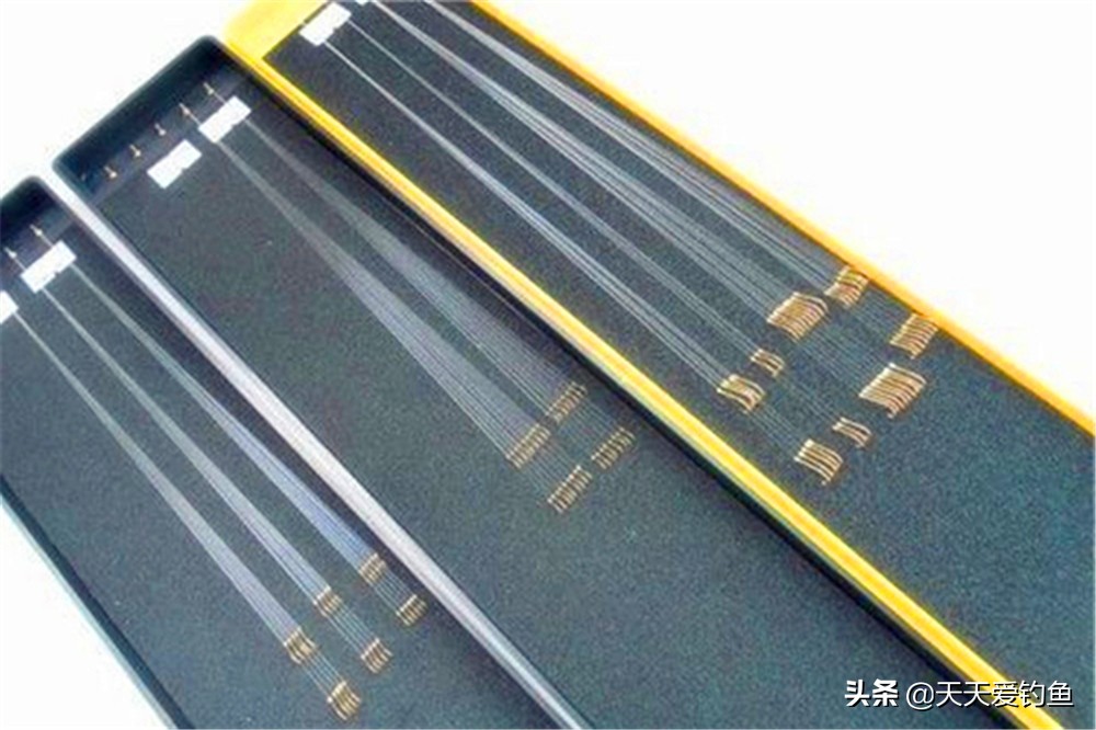 钓鱼技巧：提高中鱼率的5大技巧，想钓更多的鱼？靠的就是中鱼率