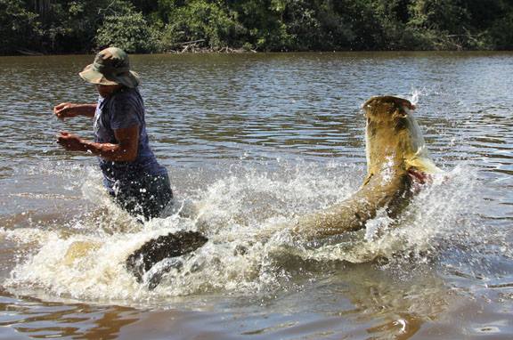 盘点钓鱼中钓出很奇葩鱼,盘点钓鱼钓出稀奇古怪的东西