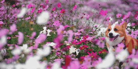 石景山这商场春季出清低至2折！抢购啦！