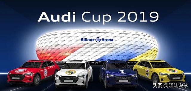 2009奥迪杯穆勒,穆勒第一次欧洲杯