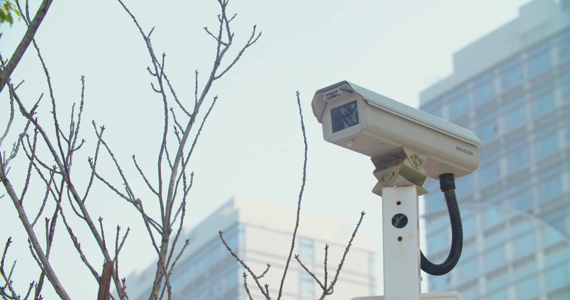 日本相机产业崩溃,相机为什么被日本垄断了