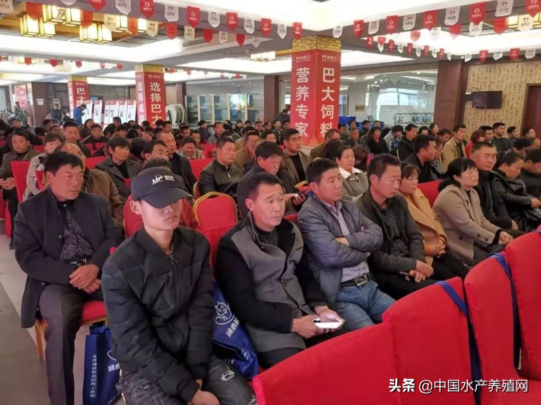 年销售额达5000多万，一手打造多个“百万富翁”，这位上过《致富经》的传奇蟹匠，又把这块土地变废为宝