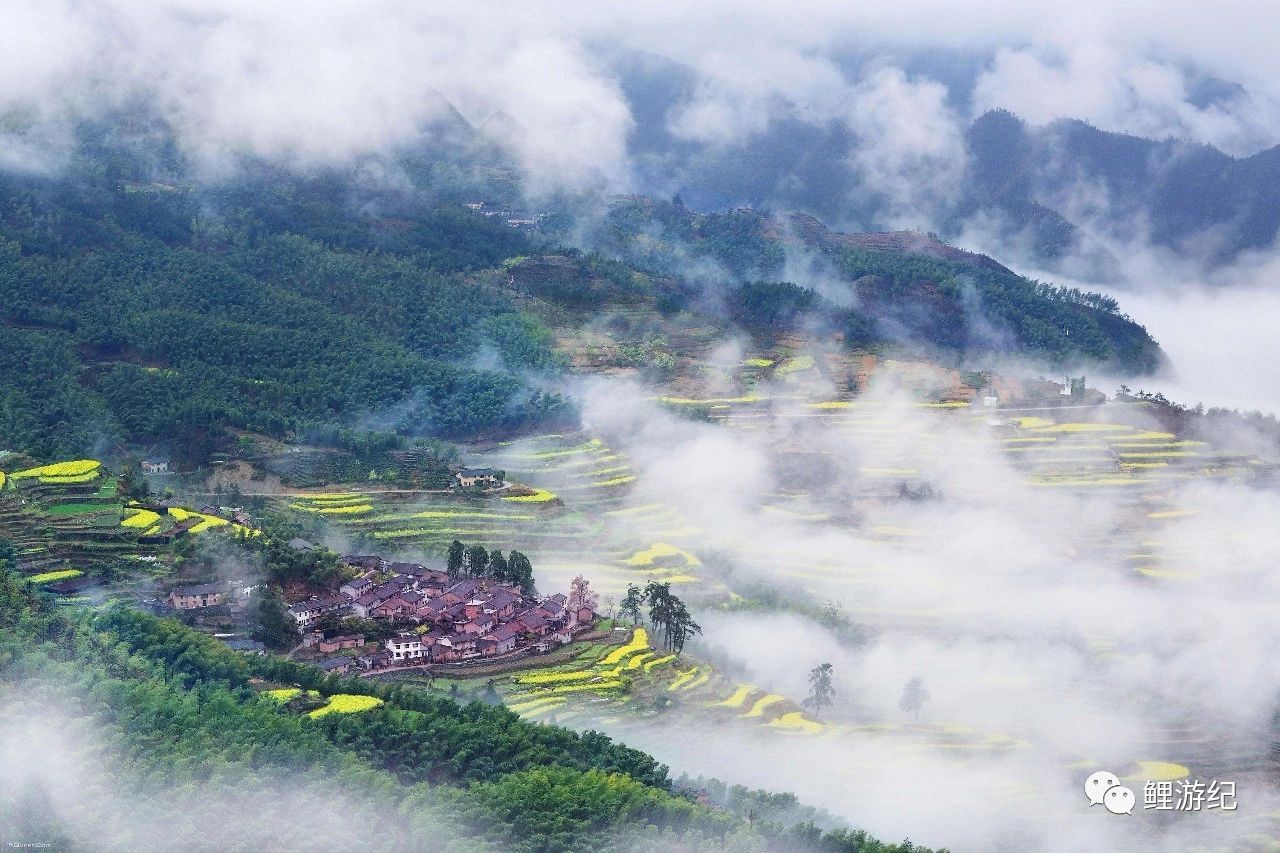 七月与安生拍照,七月与安生电影取景大学