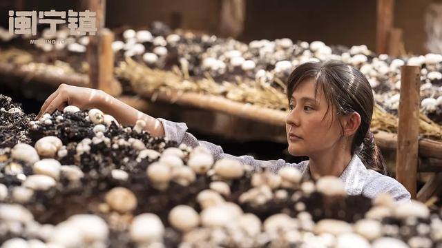 山海情故事评分,山海情观后感豆瓣