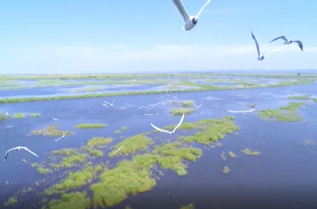 如何创作出想要的宣传片作品,怎么自己做一个宣传片