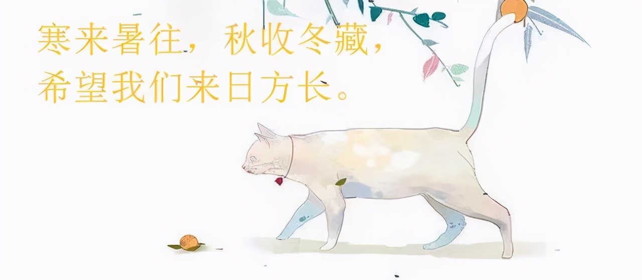 近期高分完结：《挚吻》她把联姻当作一场交易，而他却是梦想成真