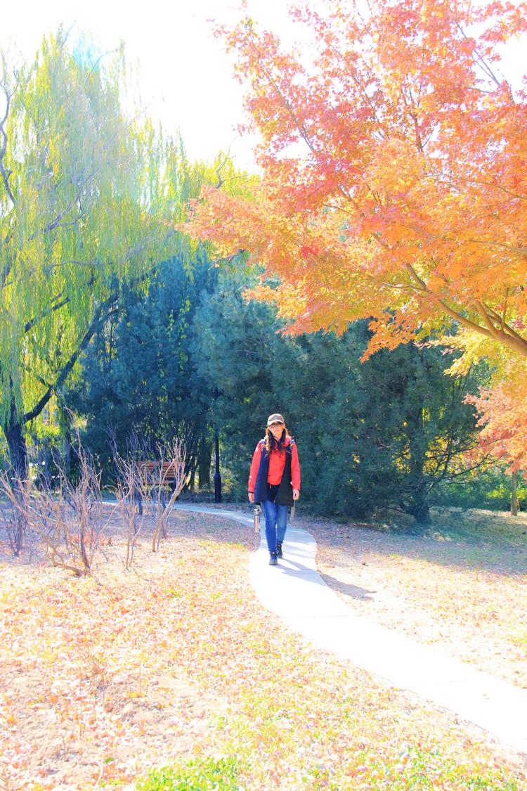 单反快速入门索尼,单反自动挡是哪个