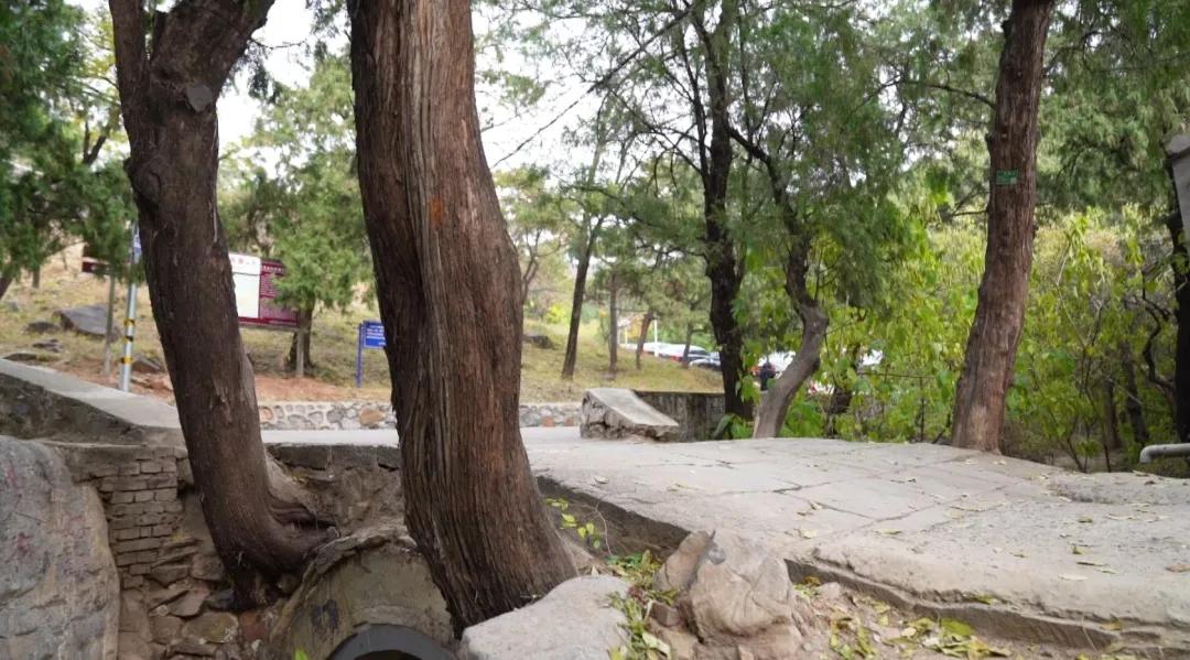 北京法海寺森林公园赏秋,石景山法海寺必看景点