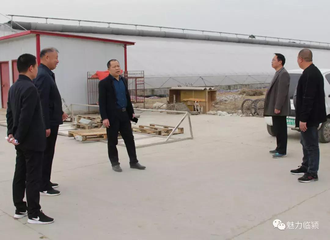 临颍:尚纪安计划5年把刘庄打造成河南最大的花卉种植交易基地