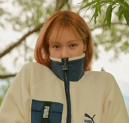 杨幂魏大勋真的是情侣吗,杨幂魏大勋情侣装现身同一小区