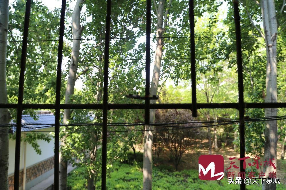 偷梯子爬墙撬保险柜,济南老屯汽配市场多家店铺被盗,民警辗转多地抓捕嫌疑人