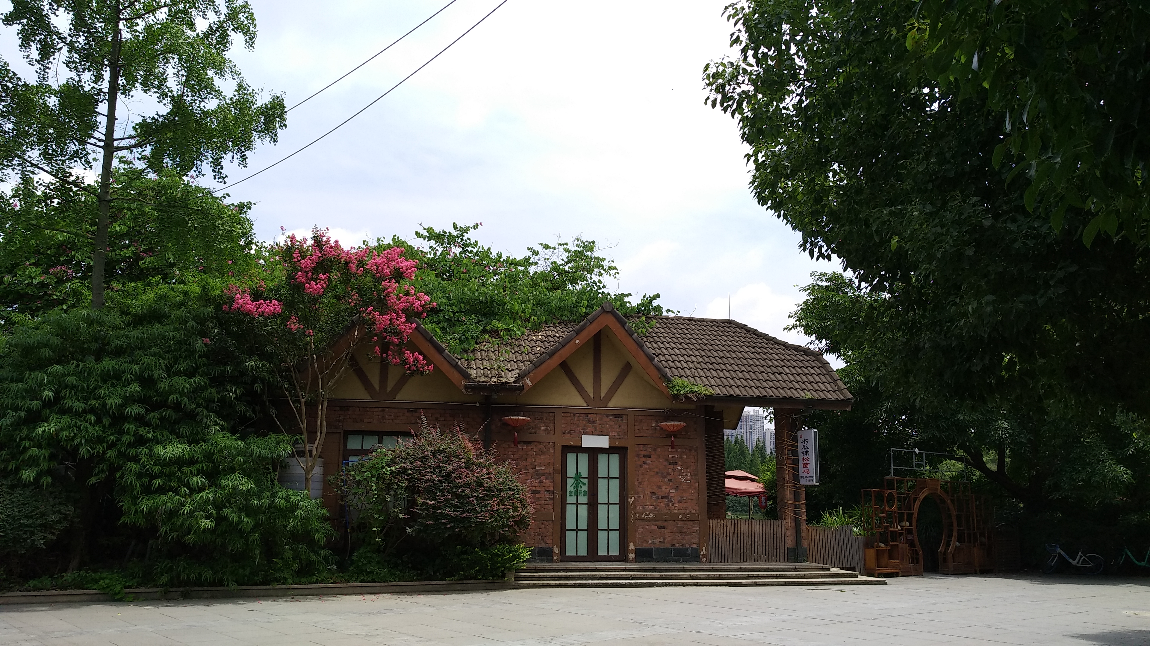 成都南湖公园钓鱼,成都南湖公园