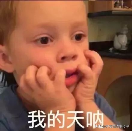 假代购曝光名单,假代购常用骗术揭秘