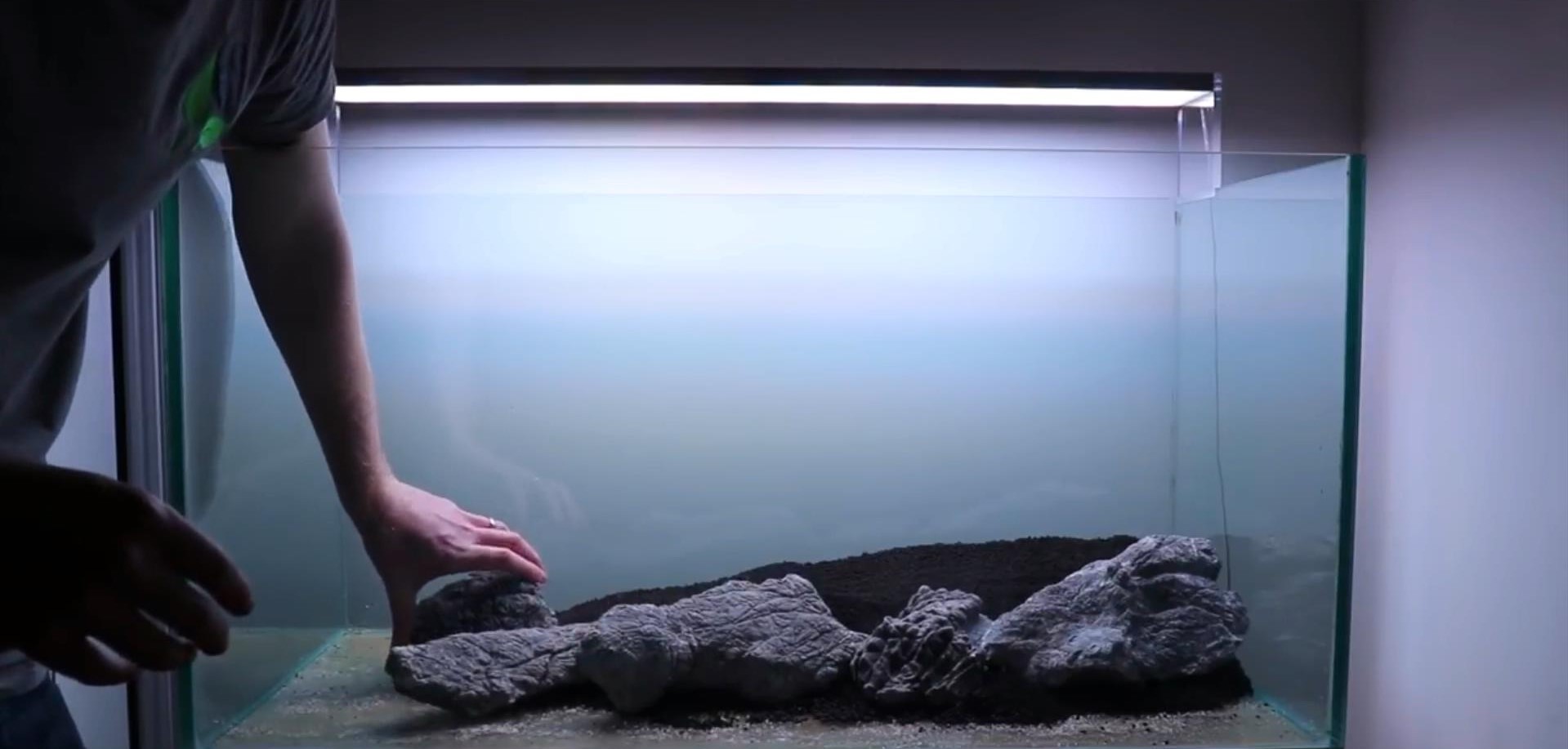 沉木草缸入门造景,50厘米草缸入门造景