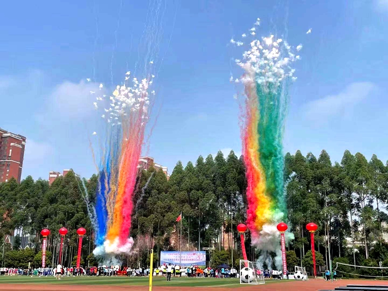 爱成都迎大运新津足球赛,2021郫都区校园足球总决赛