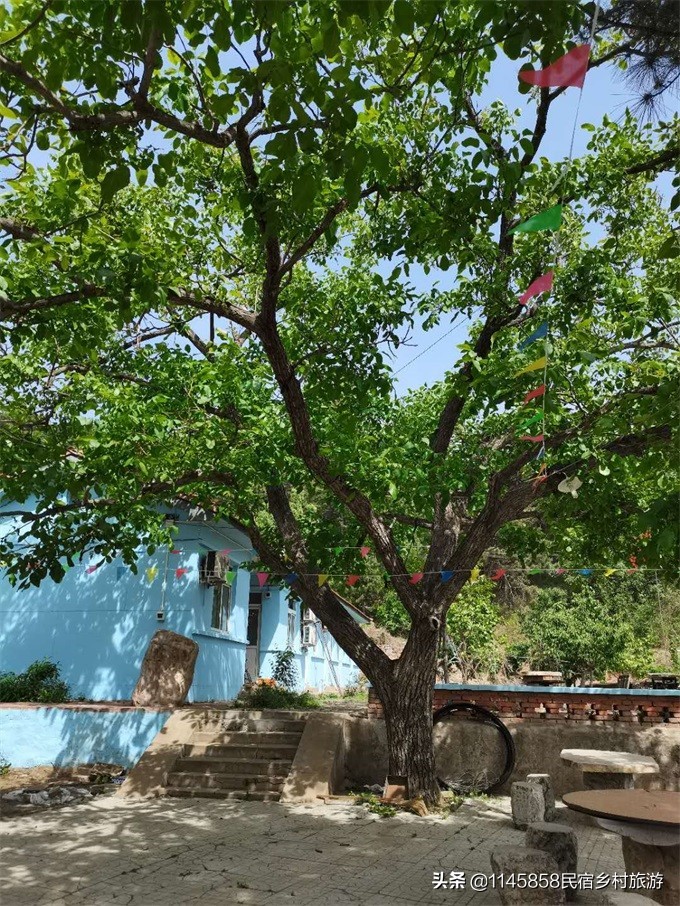 蓟县住哪个农家院风景最美,天津蓟县冬天开放的农家院