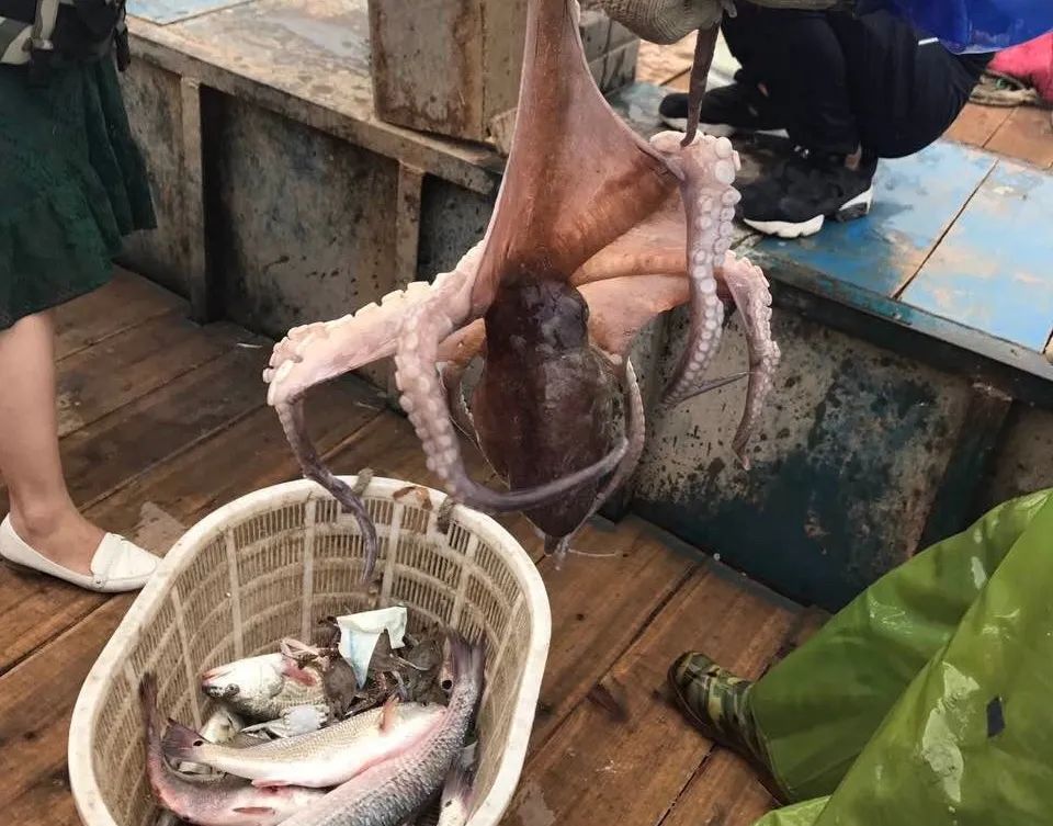 国家地理最美十大海岛,中国十大最美海岛有哪些