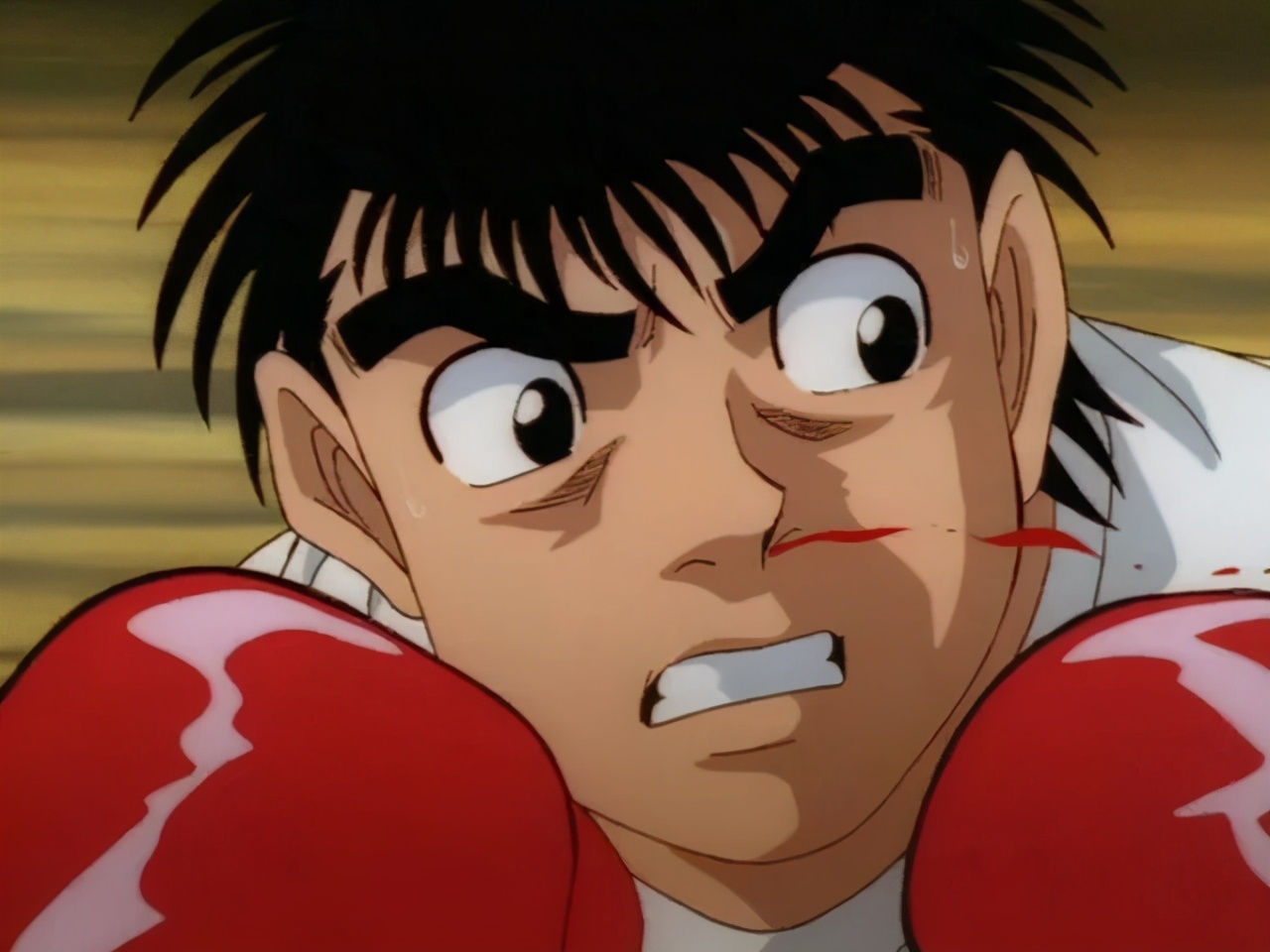 mal动漫评分前十,mal排名第一