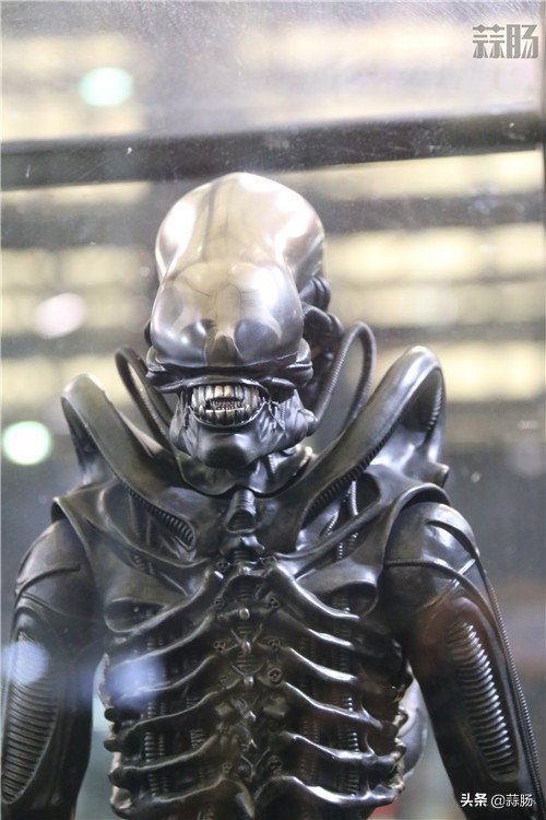 wf手办展飞天,wf上海展热门手办