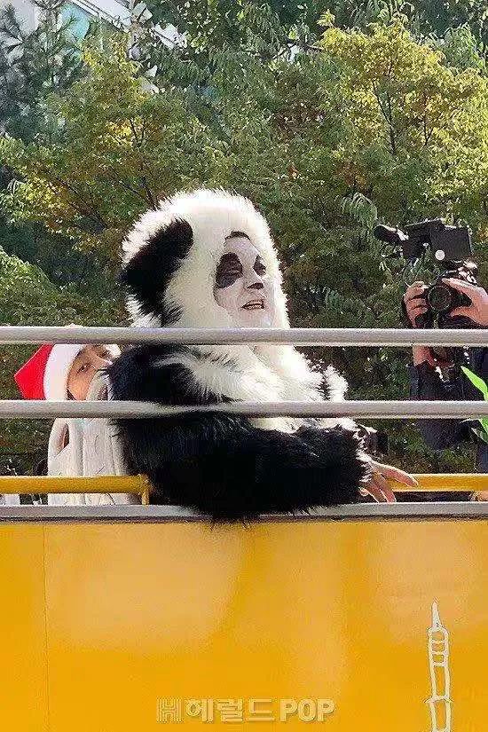 开播又到9.7的神作，主创竟然承认「抄袭」？