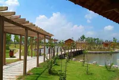 上海姓氏,上海姓氏人口排名