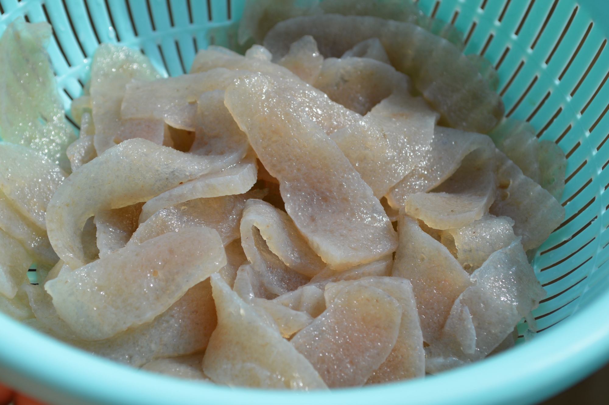 什么样的魔芋有毒,真正的魔芋有毒吗