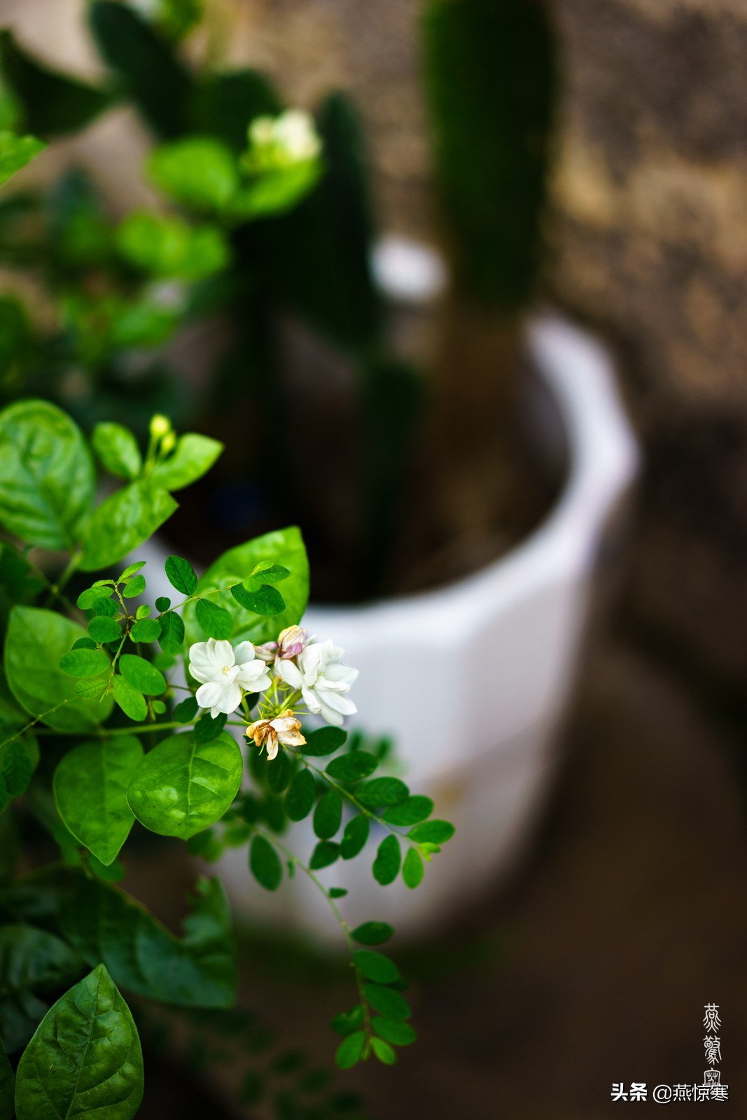 索尼除了24105还有哪些经典镜头,索尼40-2.5镜头评测